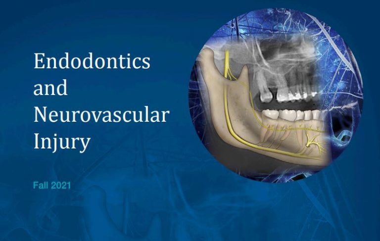 Cover of the Fall 2021 Endodontics: Colleagues for Excellence newsletter