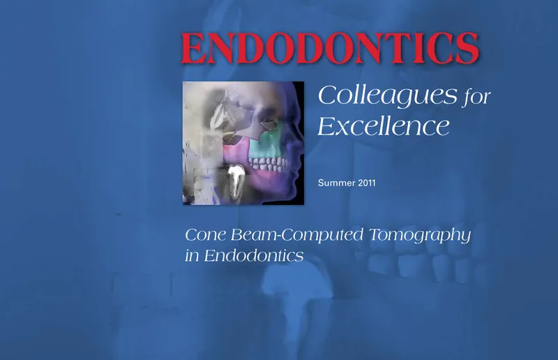 Cover of the Summer 2011 Endodontics: Colleagues for Excellence newsletter