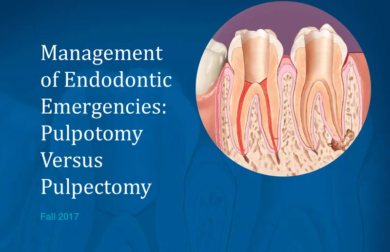 Cover of the Fall 2017 Endodontics: Colleagues for Excellence newsletter