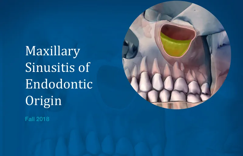 Cover of the Fall 2018 Endodontics: Colleagues for Excellence newsletter