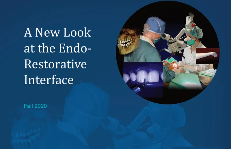 Cover of the Fall 2020 Endodontics: Colleagues for Excellence newsletter