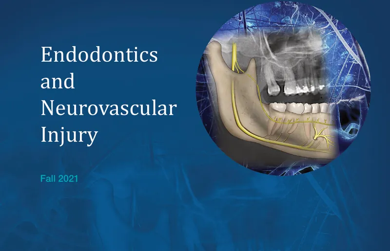Cover of the Fall 2021 Endodontics: Colleagues for Excellence newsletter