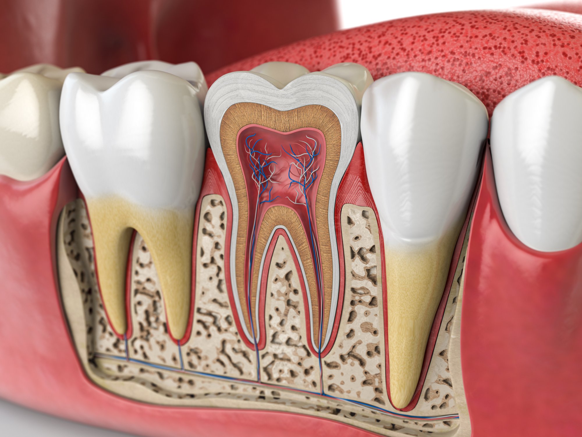 Endodontist reviewing a patient's X-ray for a failing root canal