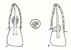 IMG_0013 IMG_0013